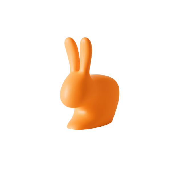 RABBIT XS | COLOR - immagine 4